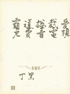 霸道总裁爱上我免费看电视剧