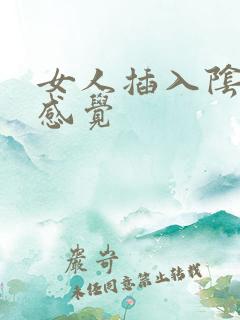 女人插入阴道的感觉