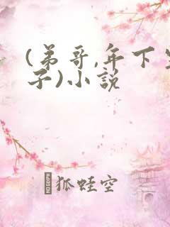 (弟哥,年下生子)小说