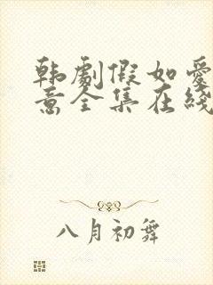 韩剧假如爱有天意全集在线观看