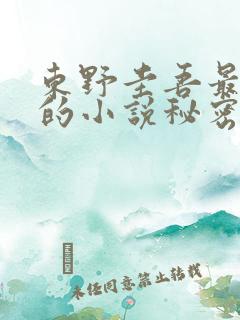 东野圭吾最好看的小说秘密 东野圭吾最好看的小说秘密