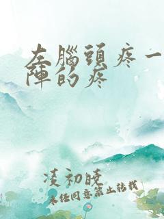 左脑头疼一阵一阵的疼