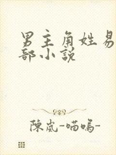 男主角姓易的全部小说