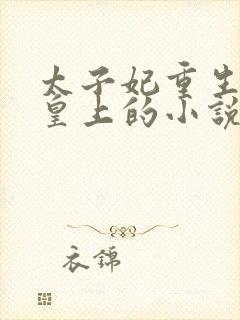 太子妃重生嫁给皇上的小说