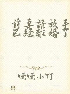 前妻请放手我们已经离婚了短剧免费观看