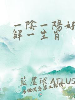 一阴一阳好发财解一生肖