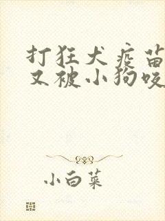 打狂犬疫苗期间又被小狗咬伤怎么办
