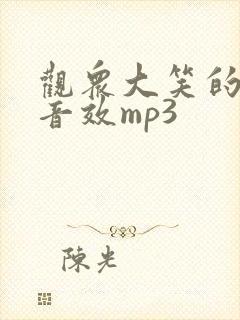 观众大笑的声音音效mp3