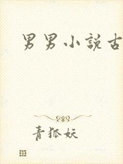 男男小说古代h