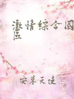 激情综合国产一区