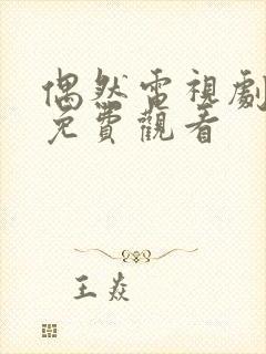 偶然电视剧全集免费观看