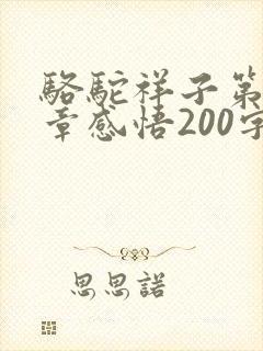骆驼祥子第十一章感悟200字