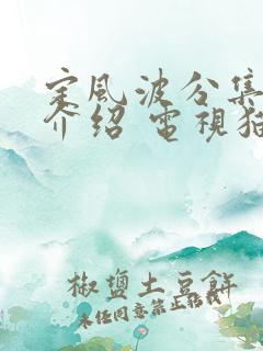 定风波分集剧情介绍 电视猫