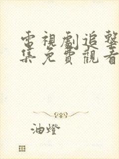 电视剧追击者全集免费观看 电视剧追击者全集免费观看