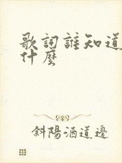 歌词谁知道爱是什么