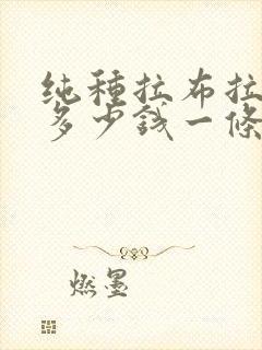 纯种拉布拉多狗多少钱一条