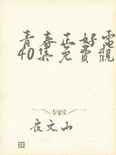 青春正好电视剧40集免费观看