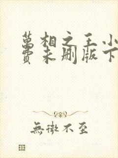 万相之王小说免费未删版下载