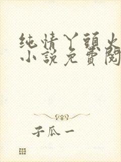 纯情丫头火辣辣小说免费阅读全文
