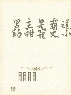 男主是霸道总裁的甜宠文小说