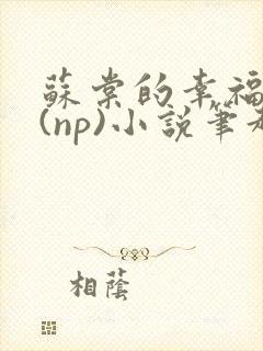 苏棠的幸福生活(np)小说笔趣阁番外