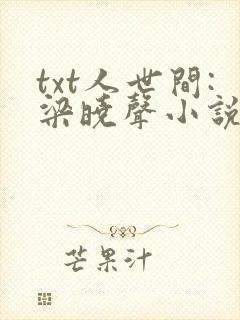 txt人世间:梁晓声小说精选集