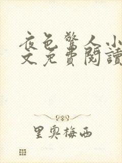 夜色惊人小说全文免费阅读txt完结版