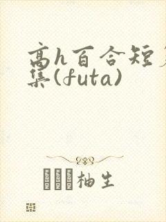 高h百合短篇合集(futa)