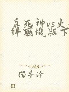 真死神vs火影绊联机版下载