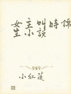 女主叫时锦的重生小说