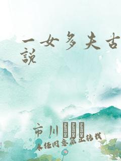一女多夫古代小说 一女多夫古代小说