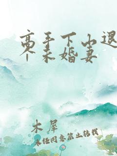 高手下山退婚九个未婚妻
