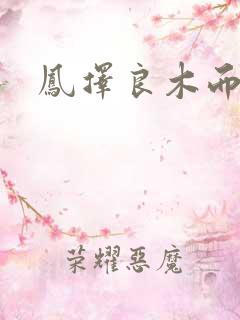 凤择良木而栖1