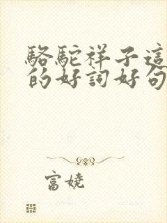 骆驼祥子这本书的好词好句好段