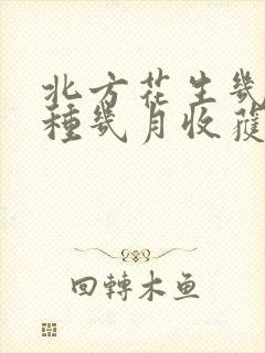 北方花生几月播种几月收获