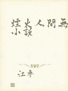 烟火人间无你我小说