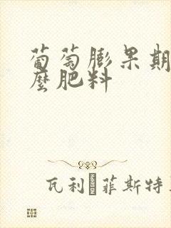 葡萄膨果期施什么肥料