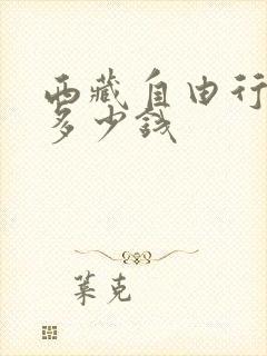 西藏自由行攻略多少钱