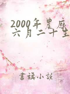 2000年农历六月二十生辰八字 2000年农历六月二十生辰八字