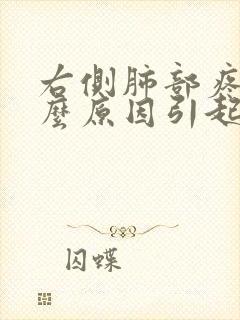 右侧肺部疼痛什么原因引起的