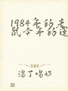 1984年的老鼠今年的运势怎样 1984年的老鼠今年的运势怎样