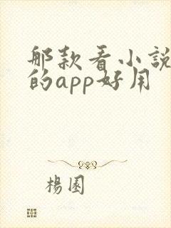 那款看小说免费的app好用 那款看小说免费的app好用
