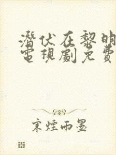 潜伏在黎明之前电视剧免费观看全集