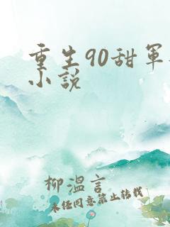 重生90甜军嫂小说