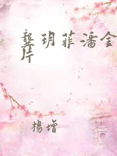 龚玥菲潘金莲正片
