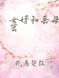 女婿和岳母的秘密