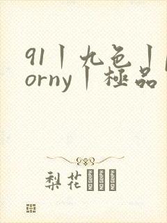 91丨九色丨porny丨极品