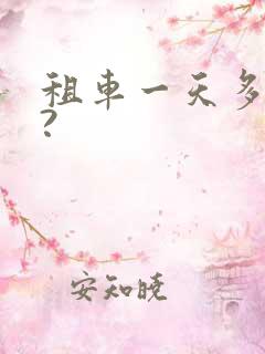 租车一天多少钱?