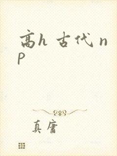 高h 古代 np