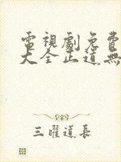 电视剧免费追剧大全正道无敌